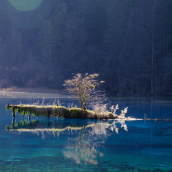 Western Sichuan Series Episode 3 Trees In Water CGTN