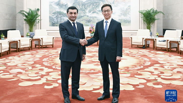 Chinese Vp Meets With Uzbek Fm Cgtn