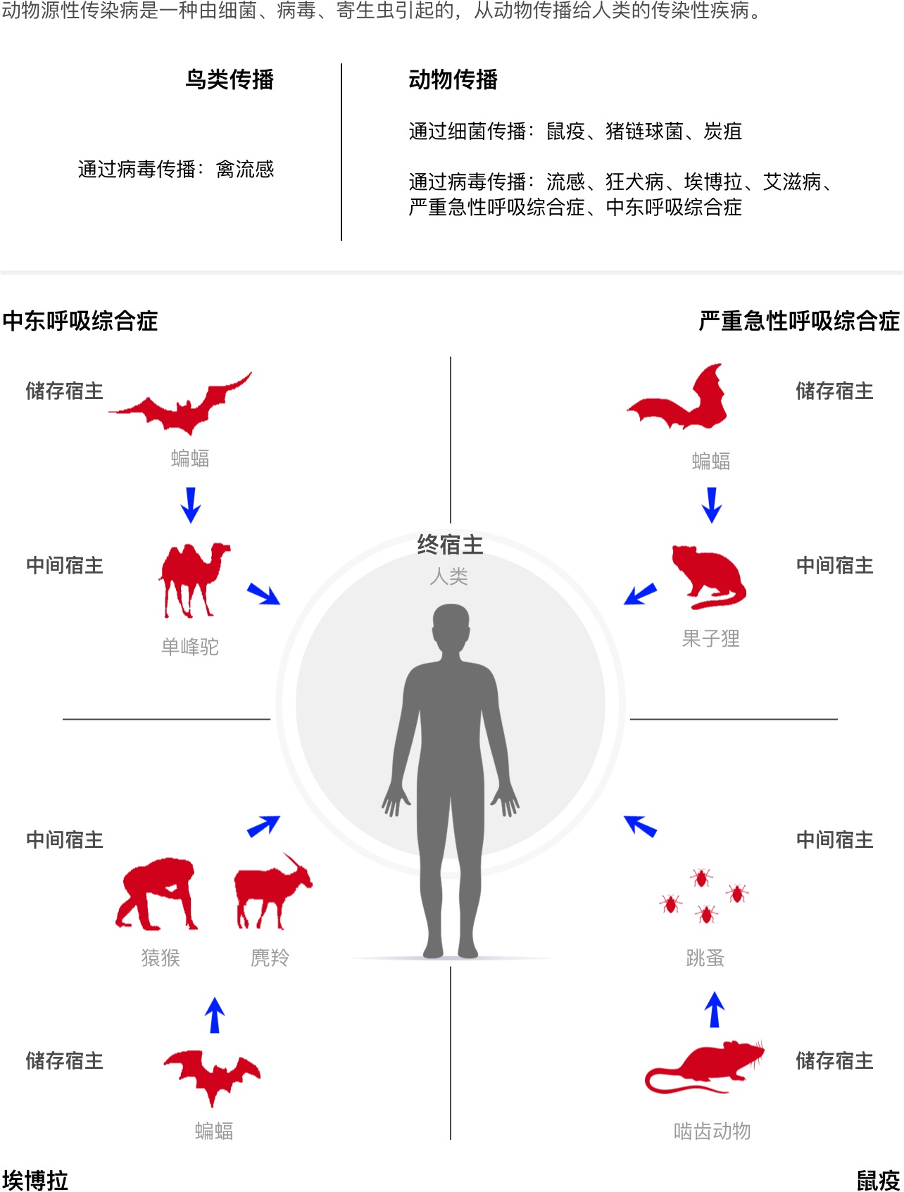 The Pandemic