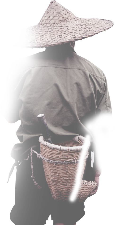 China in 2020: A decisive year