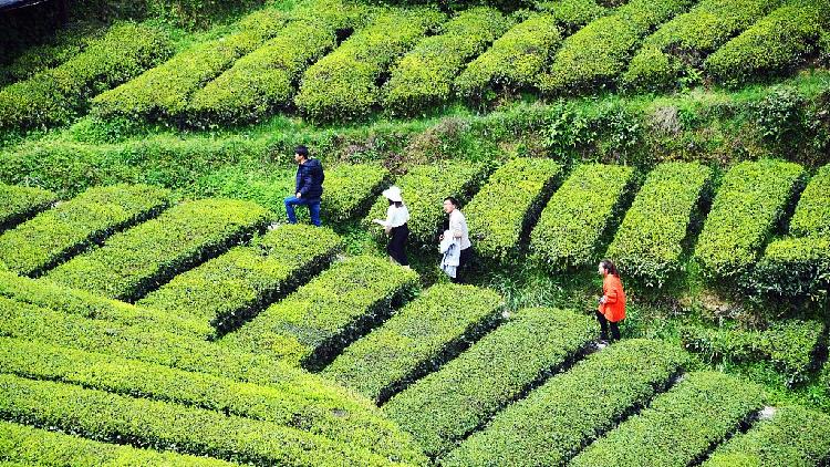 China to list more key villages to promote rural tourism - CGTN