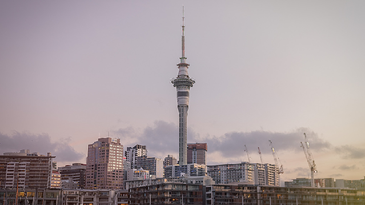 breaking news west auckland today police live