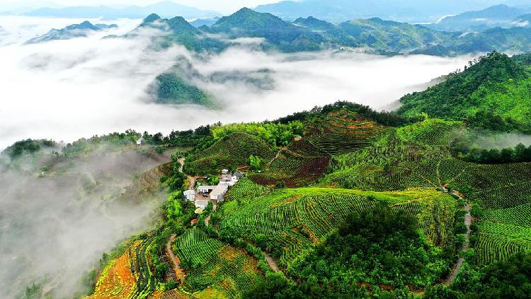 Aerial view of a sea of clouds in E China - CGTN