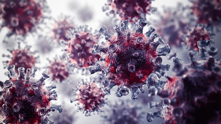 New evidence shows D614G increases infectivity of COVID-19 virus - CGTN