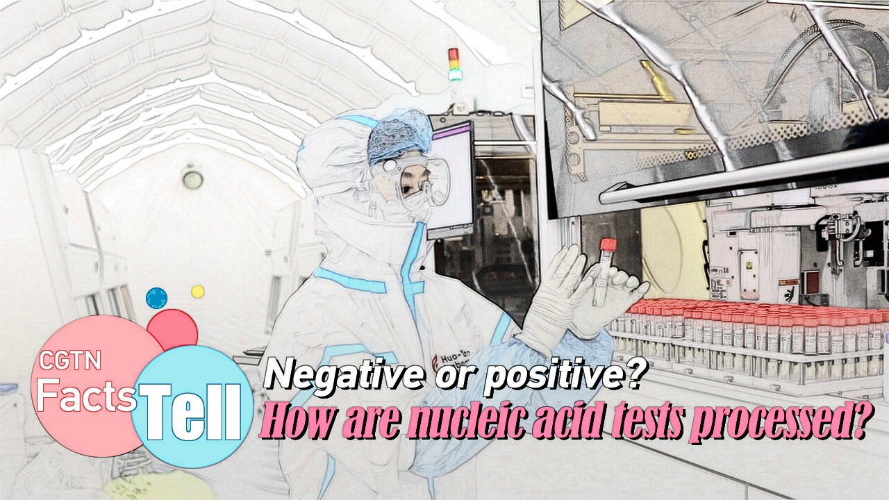 Vlog: Negative or positive? How are nucleic acid tests processed? 