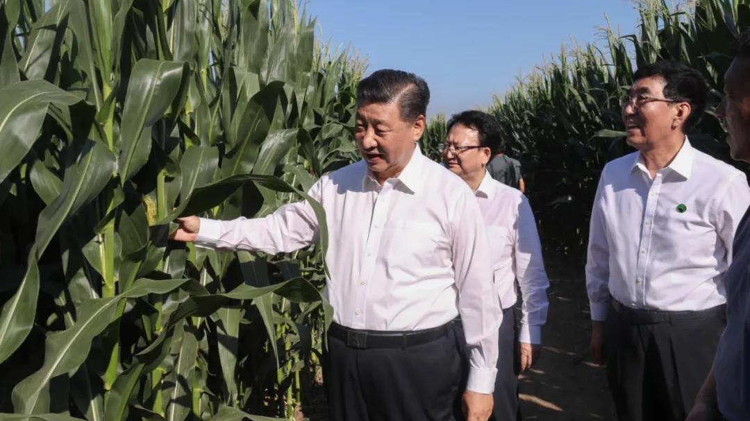 President Xi Jinping urges the protection of black soil-update