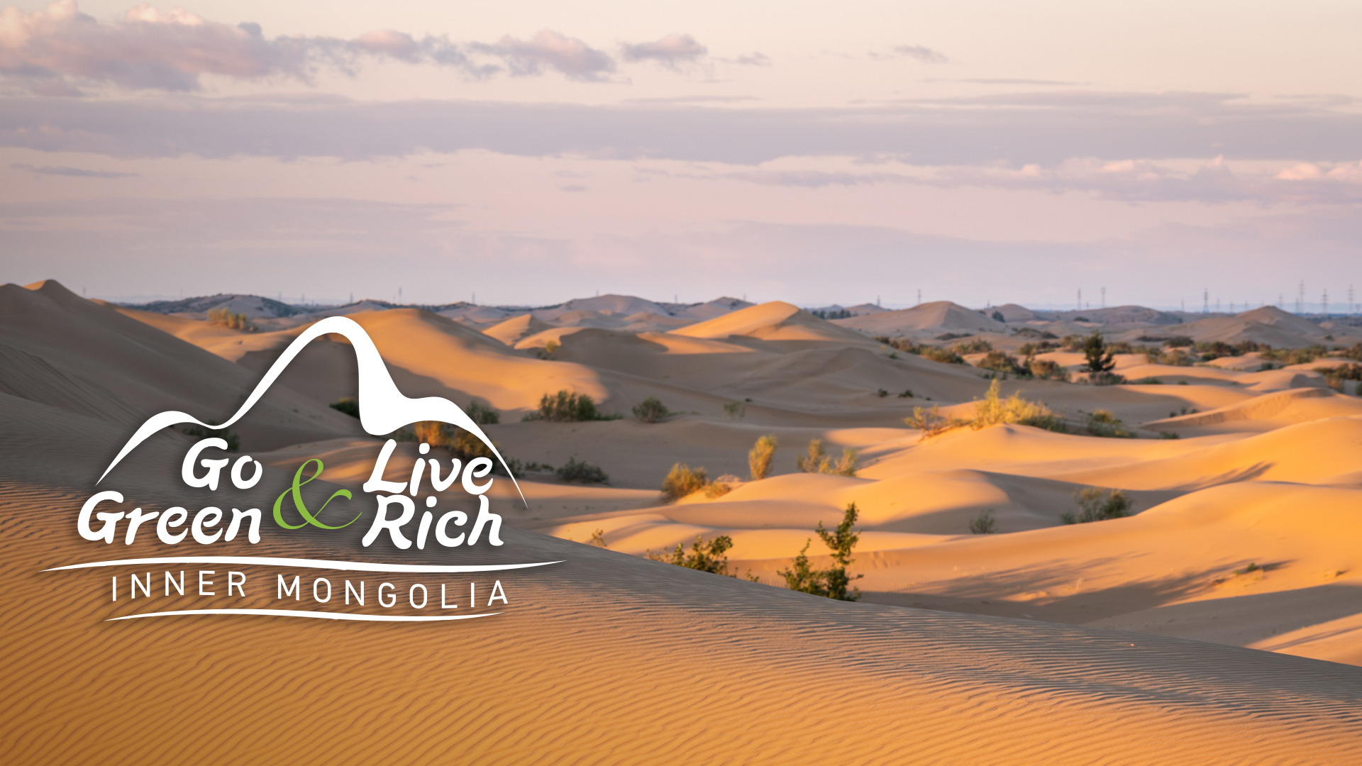 Build a green oasis in Maowusu Desert in N China