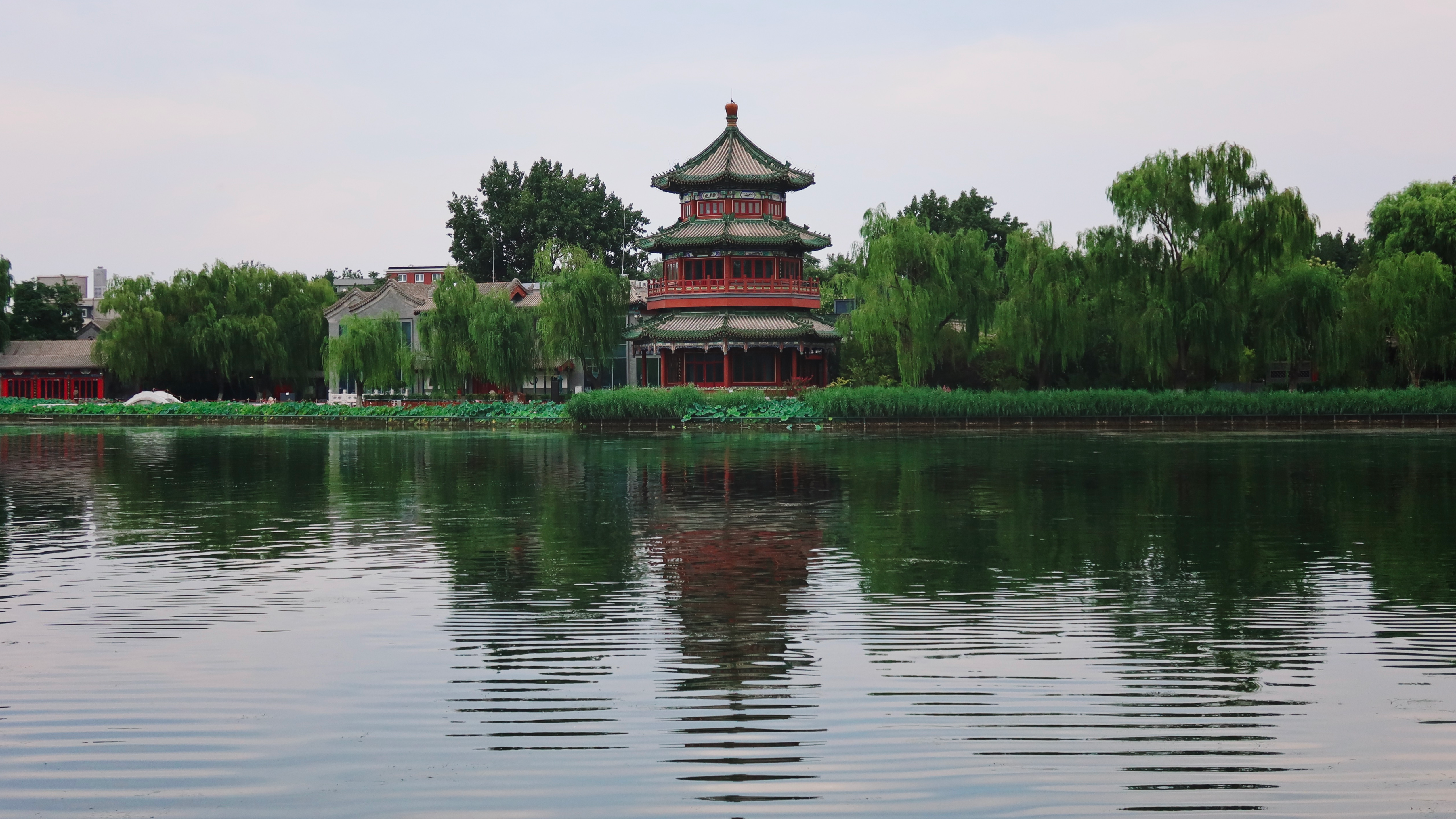 Tranquil midsummer in Beijing s Shichahai CGTN