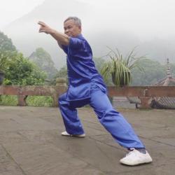 Emei sword fist: A 150-year-old inherited martial art technique - CGTN