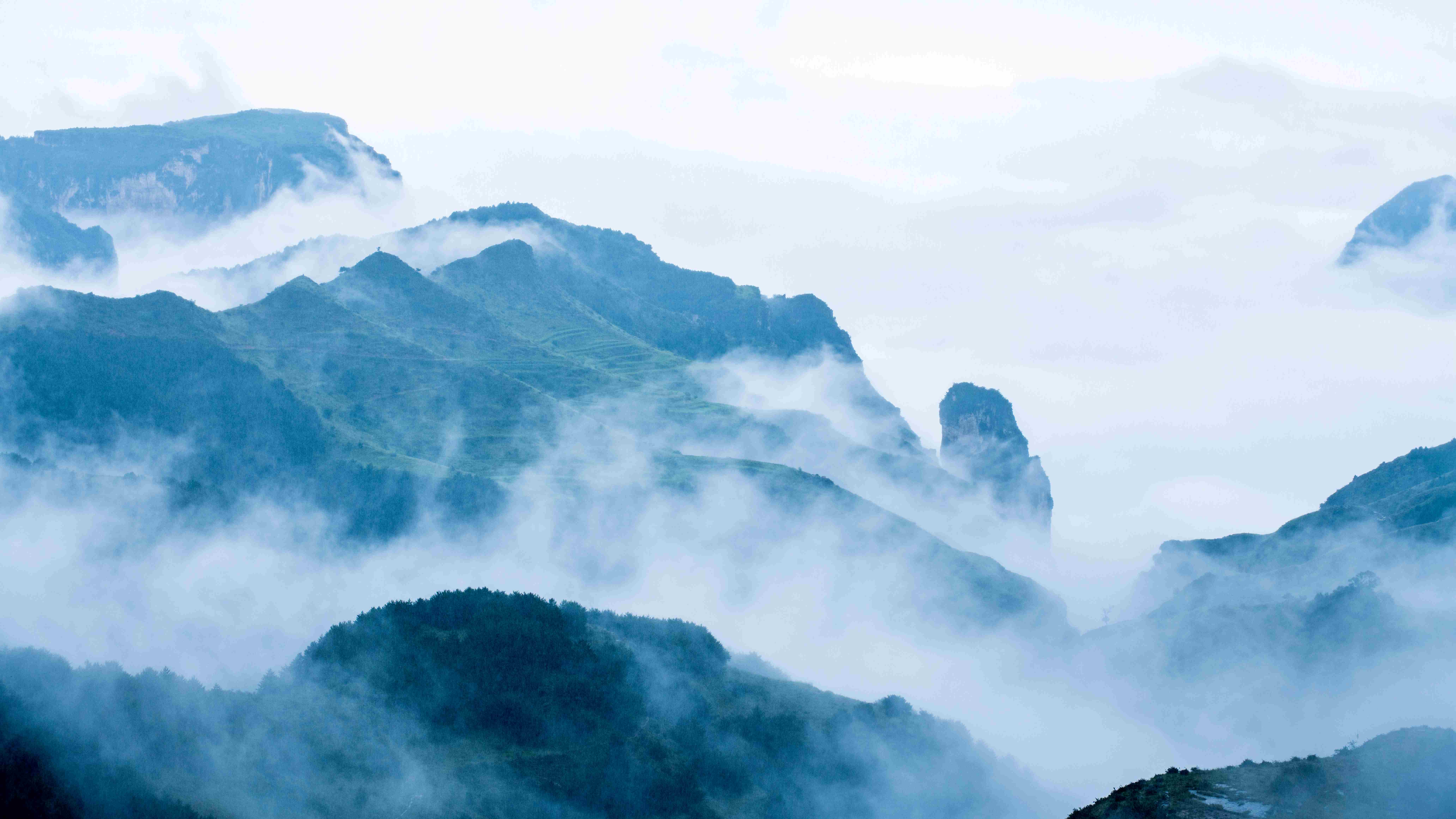 Foggy Peak Brazil