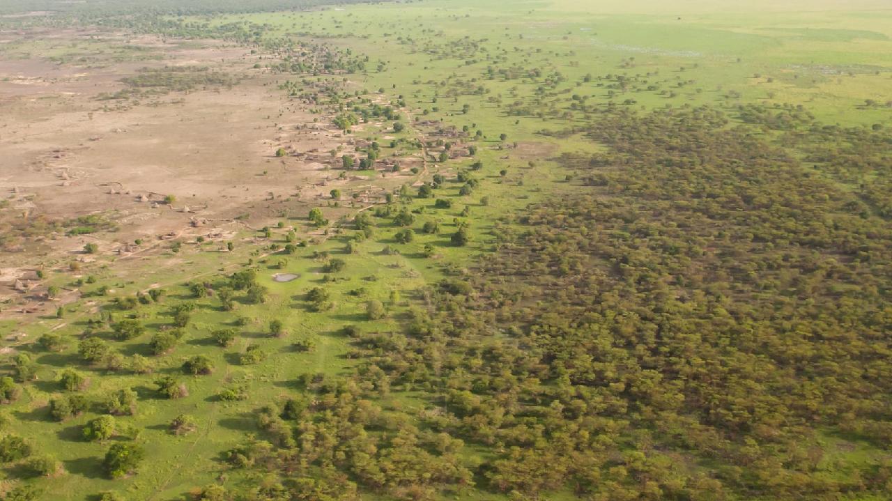 Africas Great Green Wall Grows To Yield Jobs Restore Degraded Land Cgtn