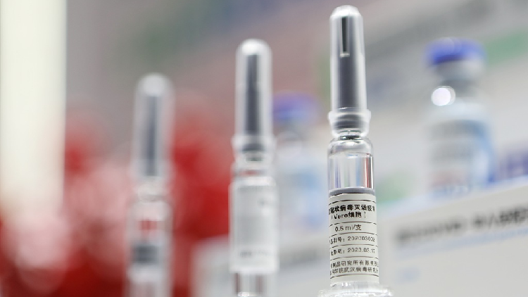 China's COVID-19 vaccine could be ready for public in November: expert ...