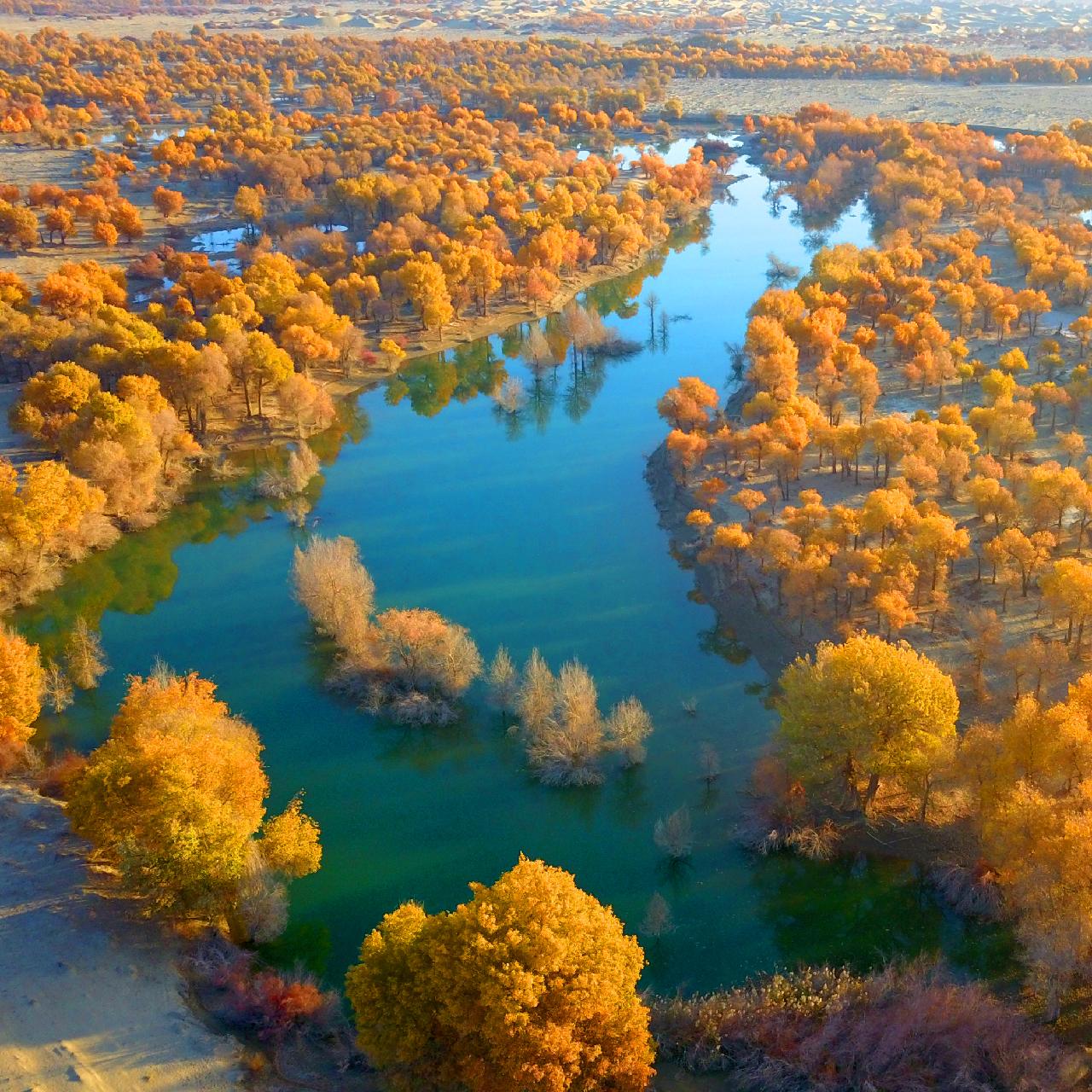 Colorful fall foliage around sparkling NW China lake enchants tourists ...