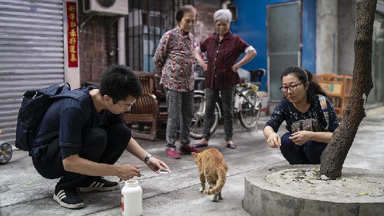 Chinese social media debates first auto-feeder for strays - CGTN