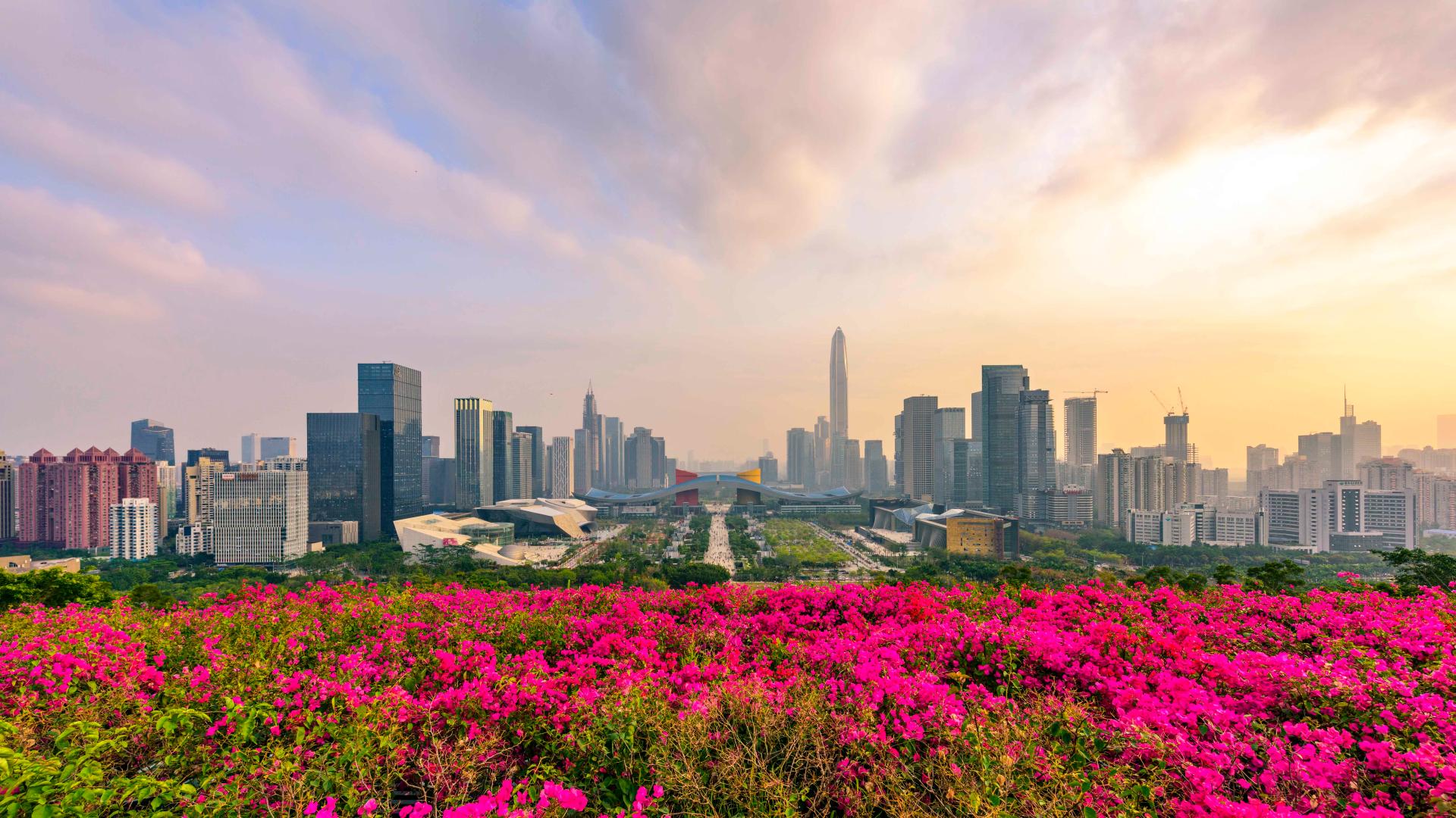 Шэньчжэнь наньшань. Город шеньжень в китае. Китайские модели девушки. Шэньчжэнь, гуандун. Singapore jurong special economic zone.