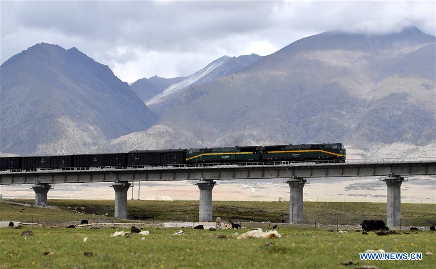 A cargo train runs on the prairie in north of southwest China's Tibet Autonomous Region, June 10, 2019. /Xinhua 