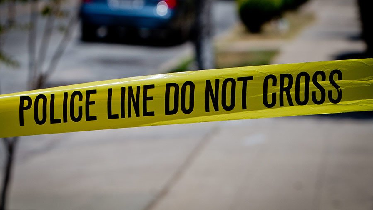 4 dead in a shooting in Nevada - CGTN