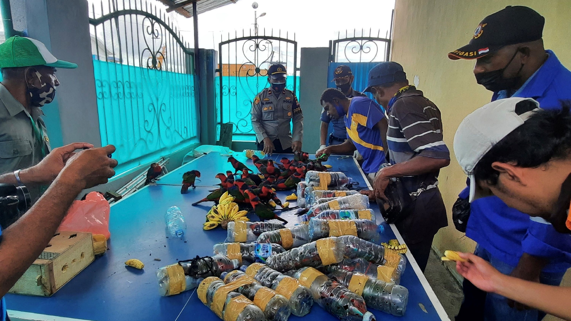 Indonesian Officials Rescue Smuggled Birds In Plastic Bottles - Cgtn