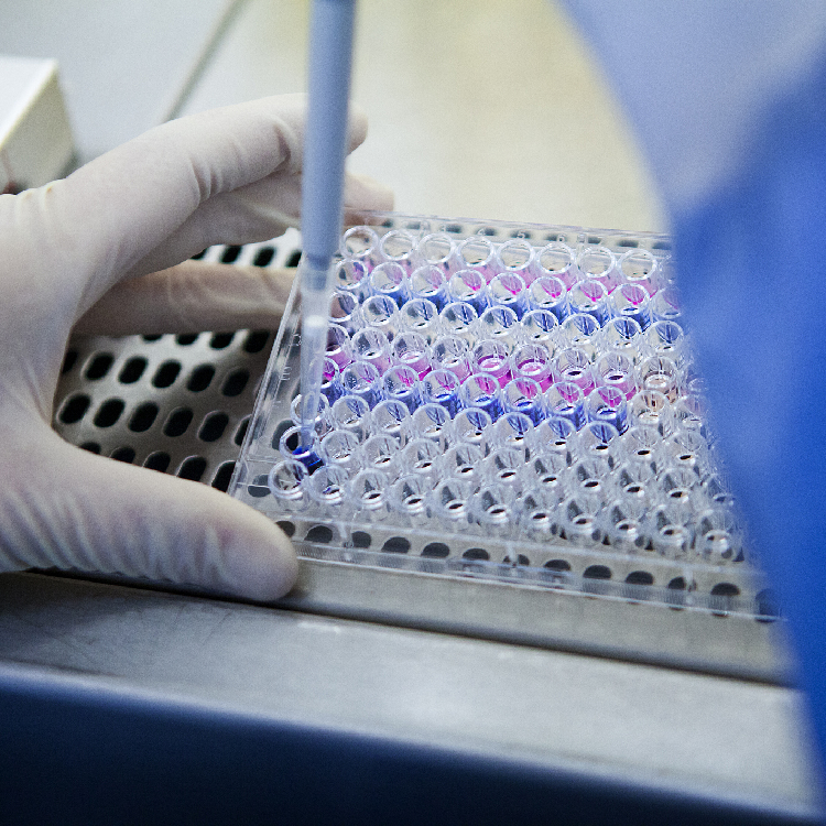 Chinaaided COVID19 nucleic acid test lab inaugurated in Laos CGTN