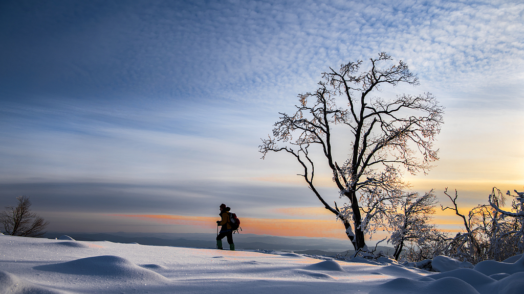 1a2de6d08d824362ae558112fdff67