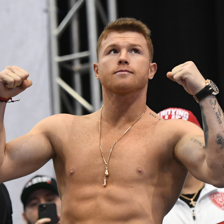 'Canelo' Alvarez to fight mandatory challenger Yildirim in February - CGTN