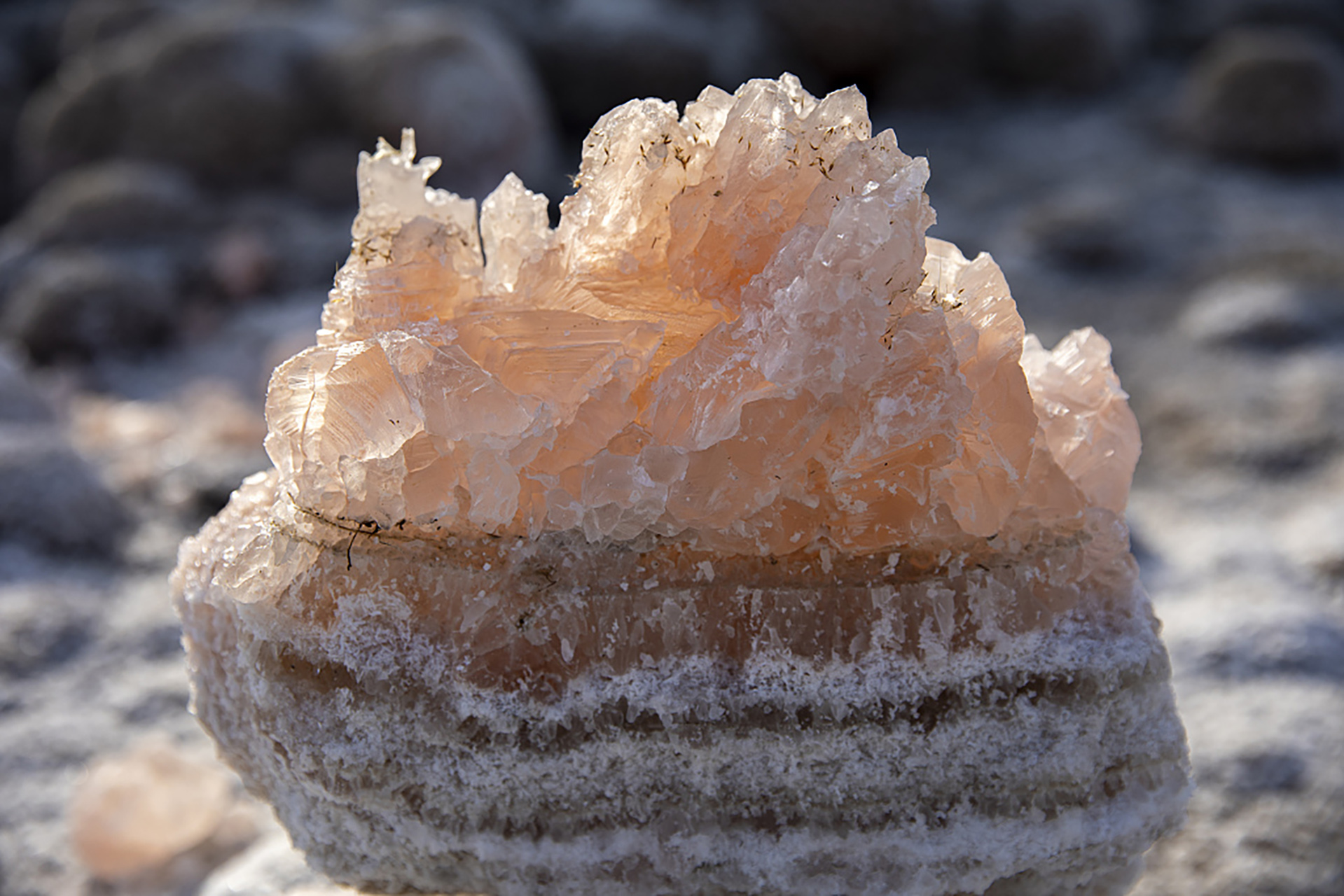 Как используют каменную соль. Галит минерал. Кристаллы соли. Кристаллы соли в природе. Кристаллы морской соли.