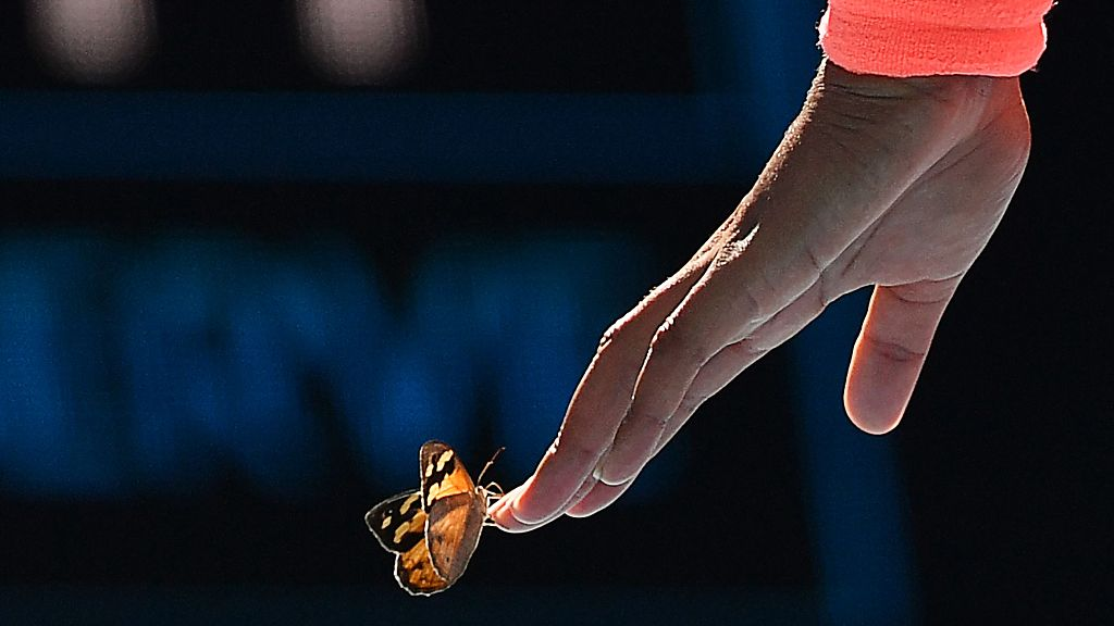 Sporting moments of the week (February 8-14)