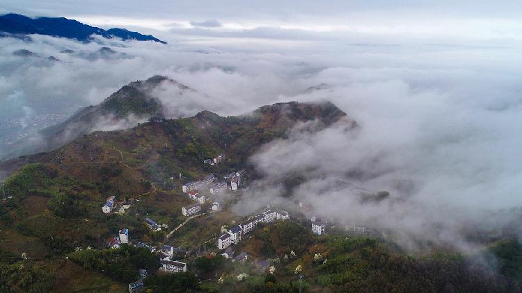 Misty Mount Tianmu resembles an ink wash painting in E China - CGTN