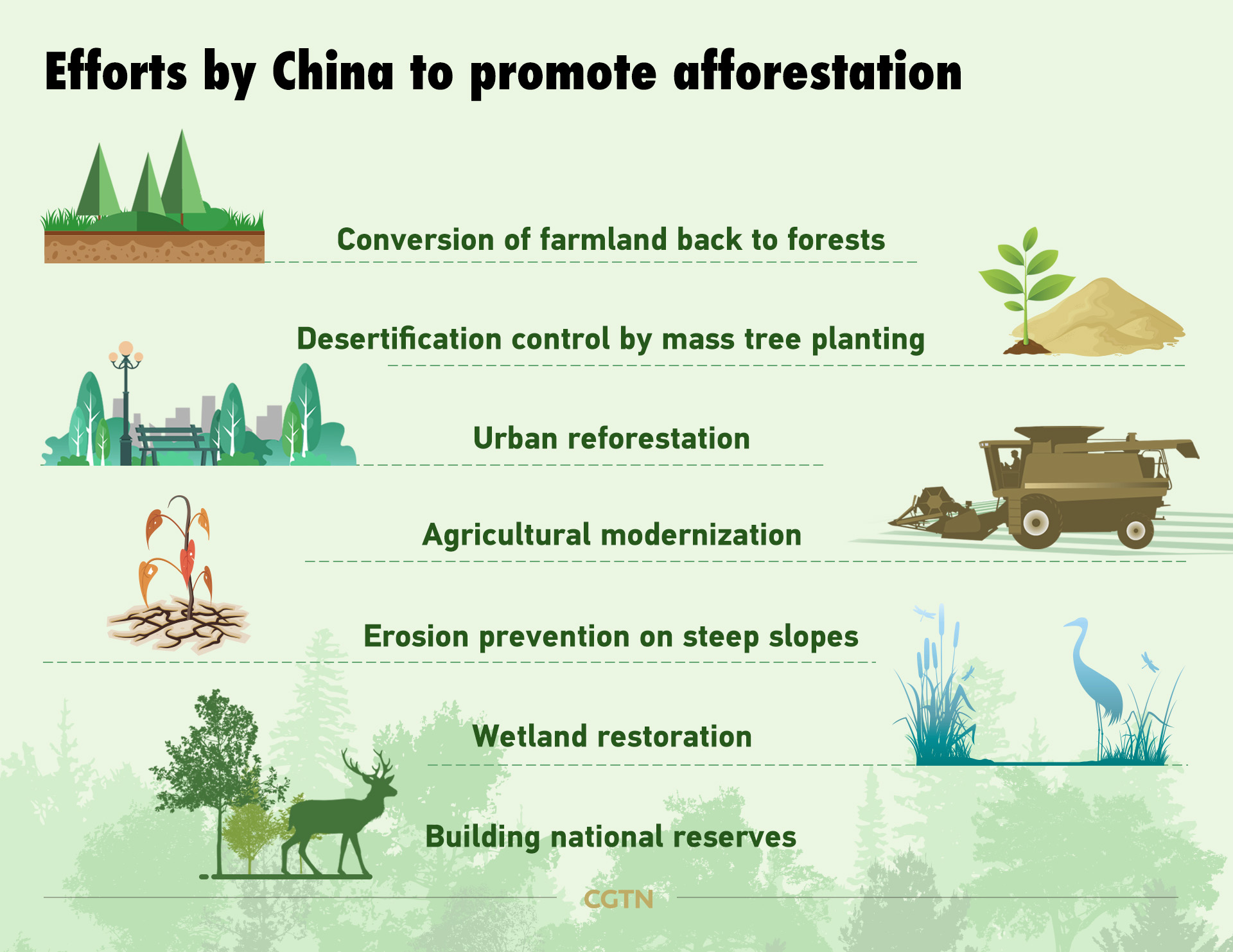 national tree planting day: how does china make the planet greener
