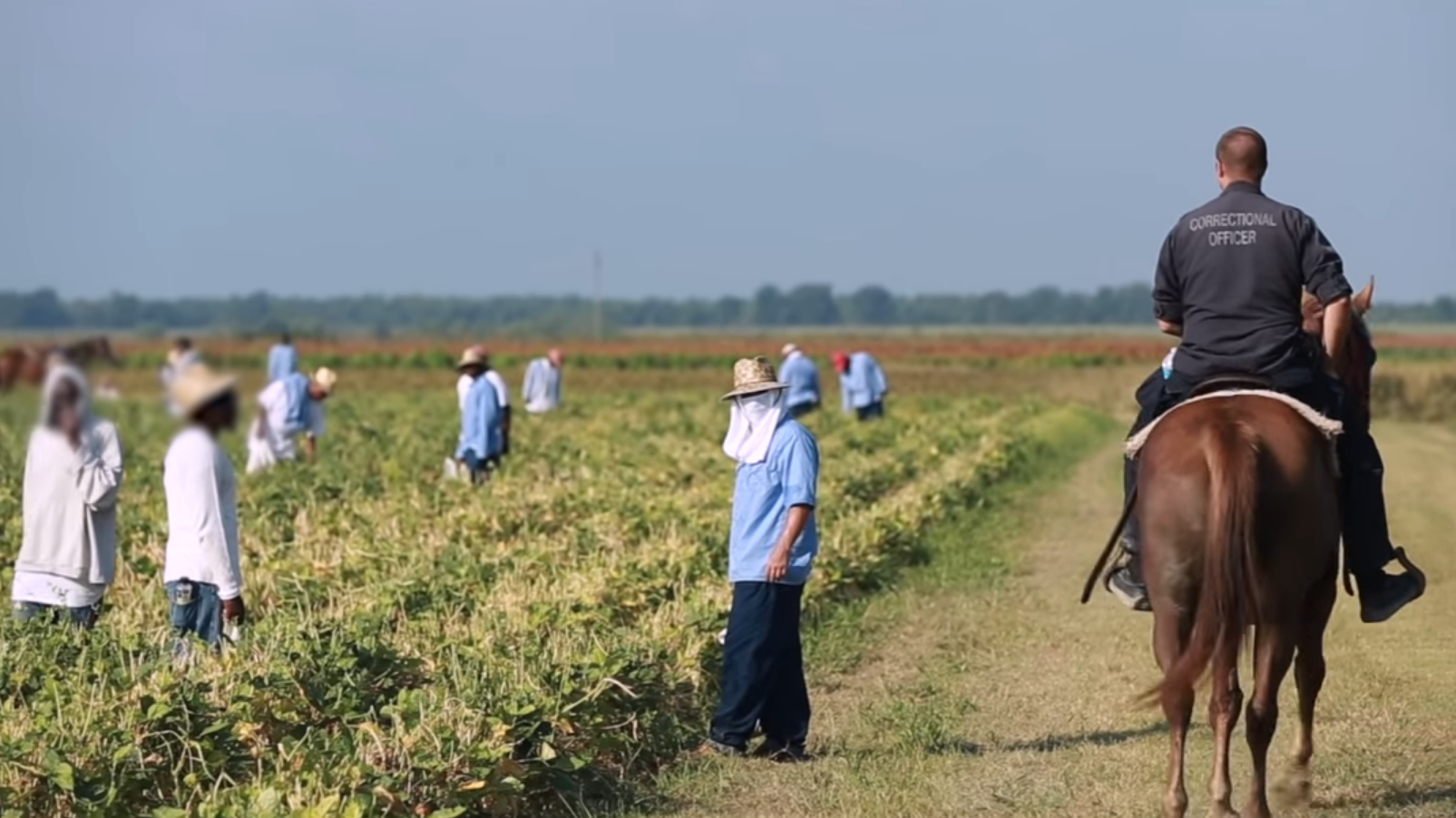 blur momentum udarbejde Slavery is alive and kicking in U.S. cotton 'prison farms' - CGTN
