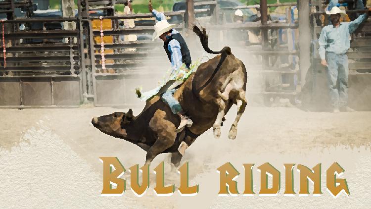 Bull riding - CGTN