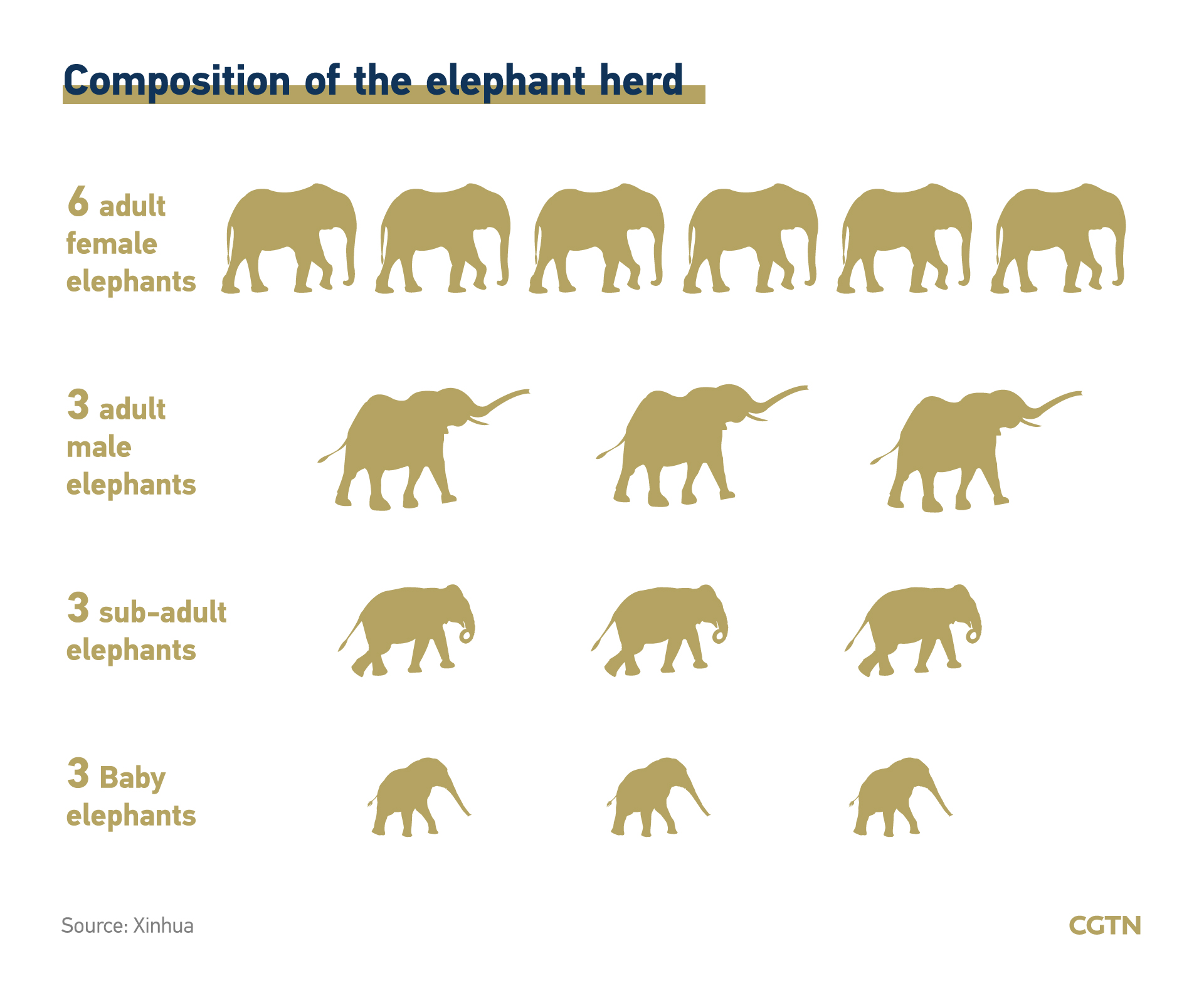 Elephant Chart Six Sigma