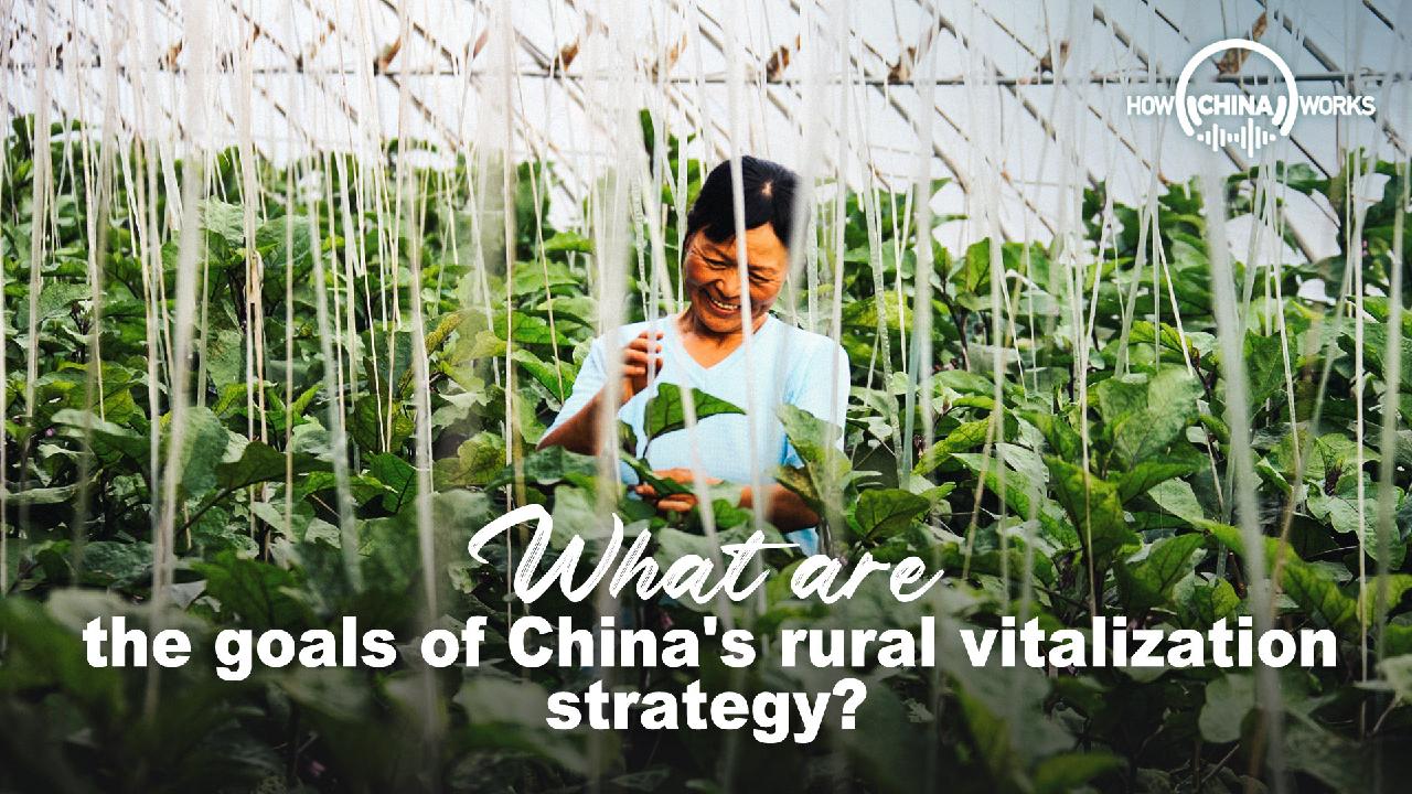 What are the goals of China's rural vitalization strategy? CGTN