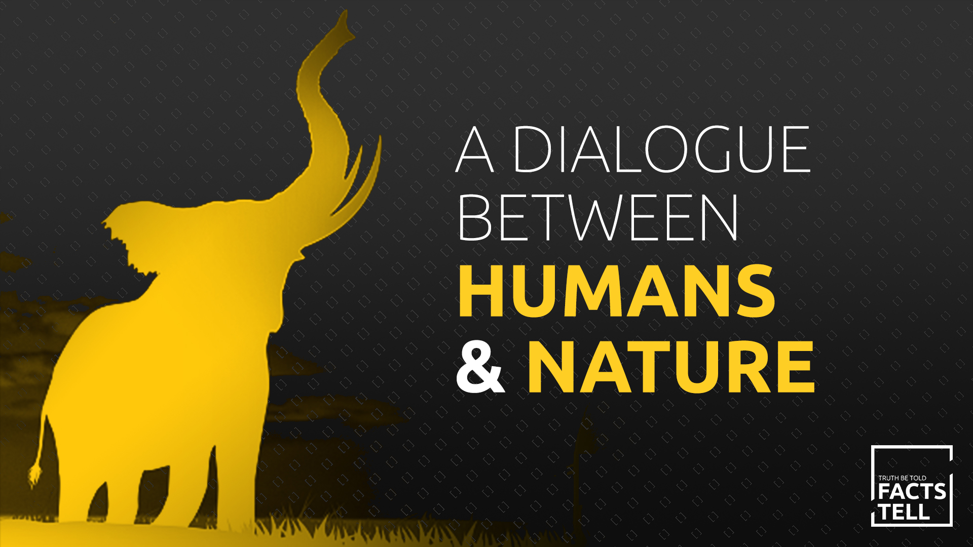 Elephants' adventure: A meaningful dialogue between humans and nature