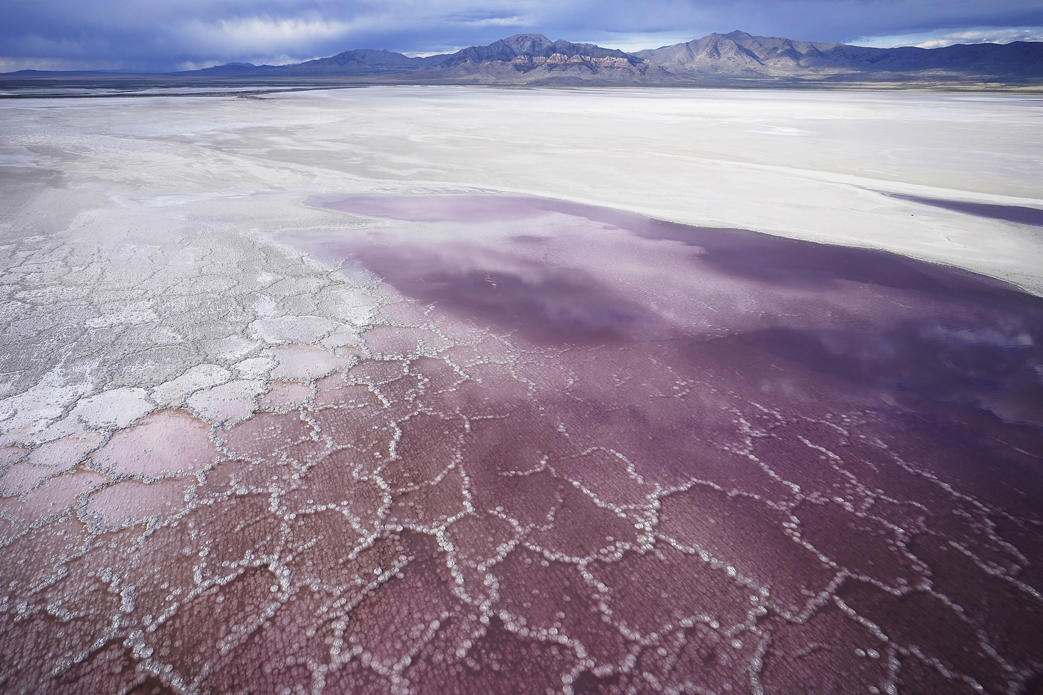 Pink water washes over a salt crust along the receding edge of the Great Sa...