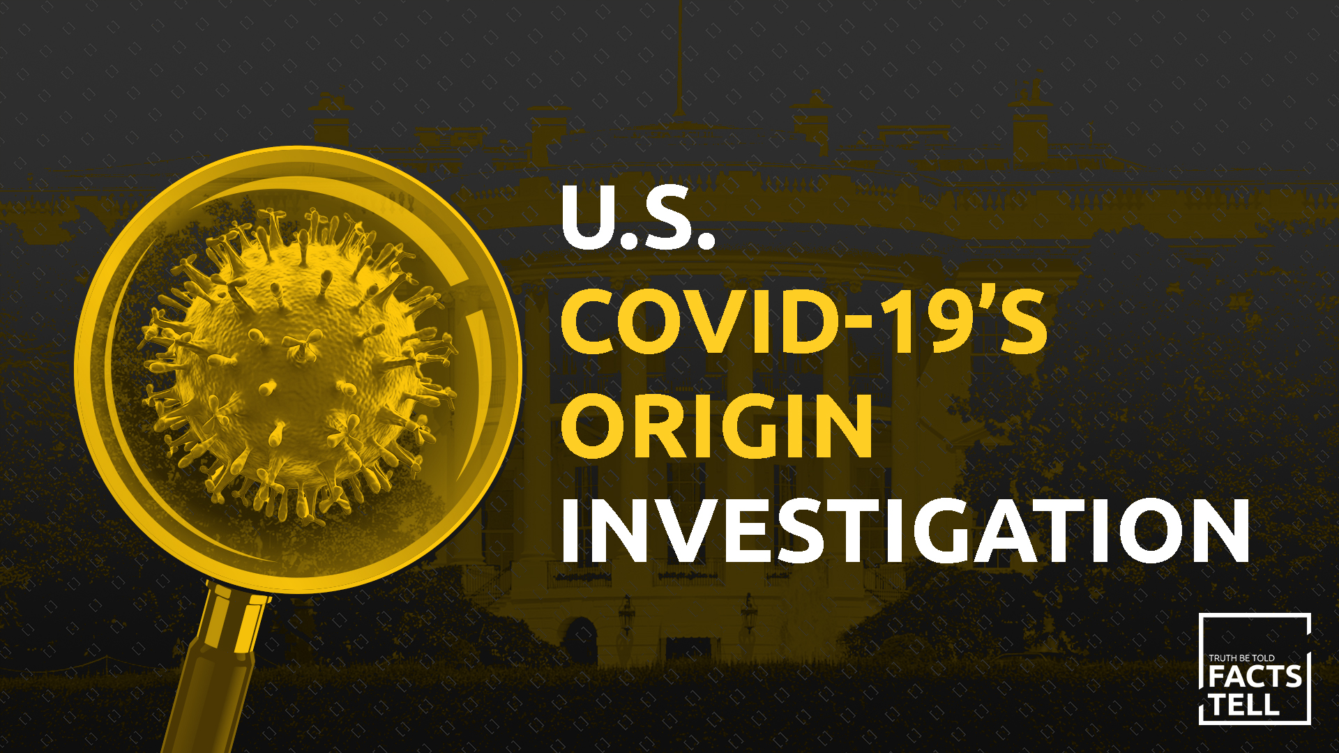 Why politicizing COVID-19's origin investigation is dangerous  