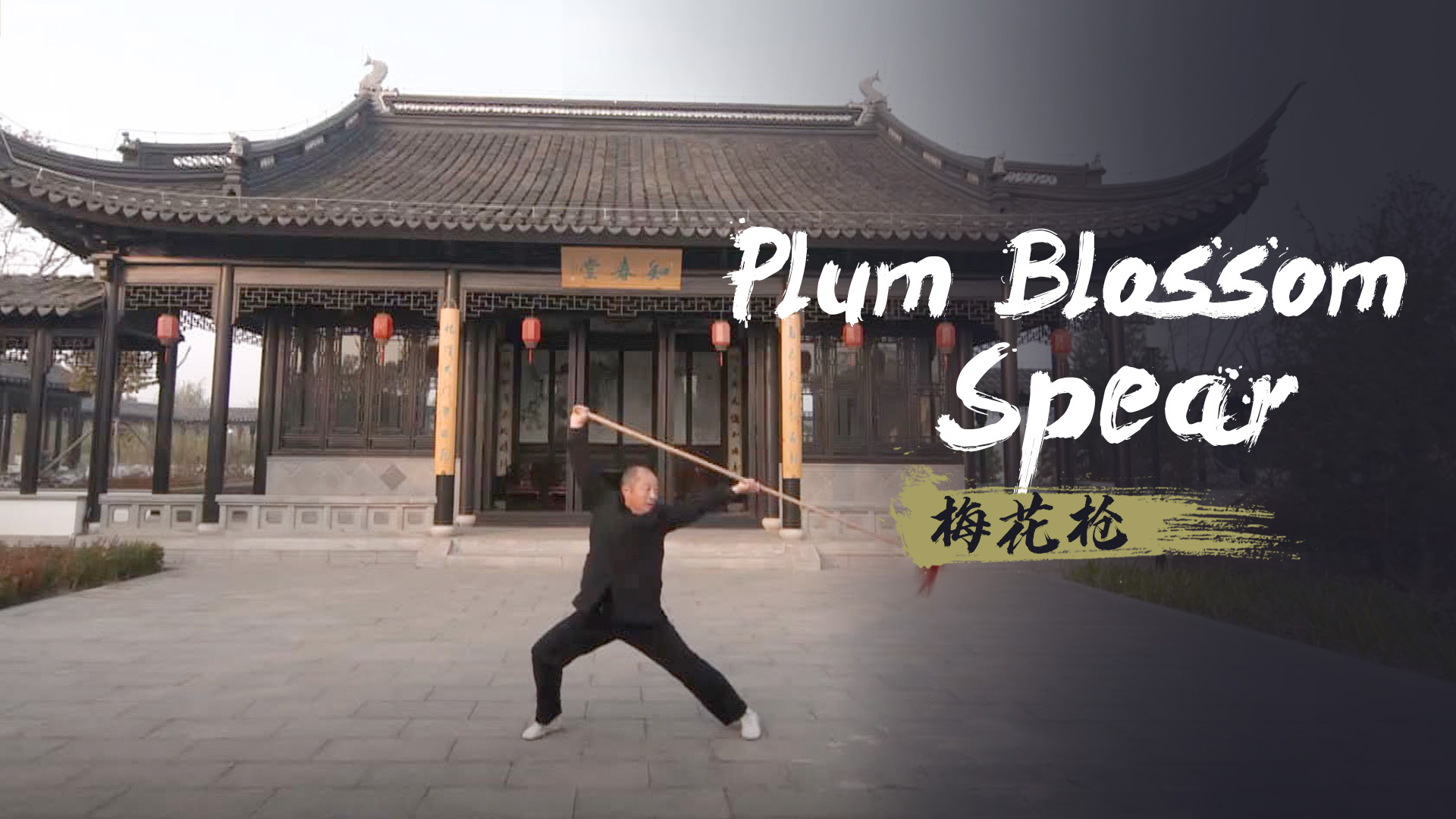 Plum Blossom Spear: Steps lead body, body leads spear