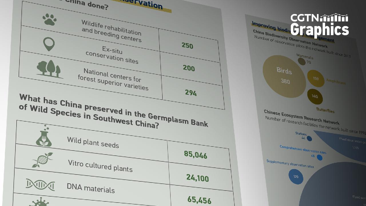 Graphics: Key Figures In Biodiversity Conservation In China - CGTN