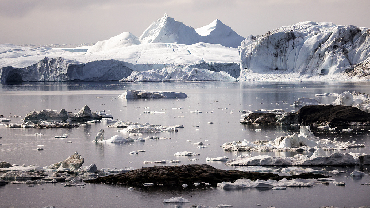 Let this be the last call to save planet Earth - CGTN