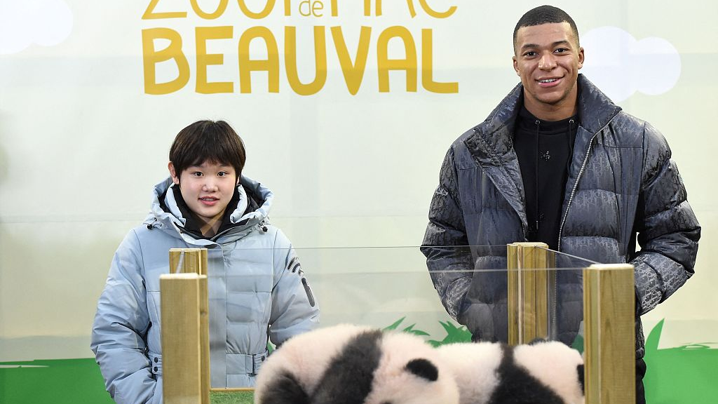 Sporting moments of the week (November 15-21)