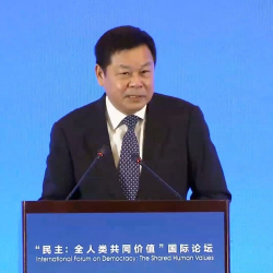 Official: China's whole-process democracy is a gift to the world - CGTN