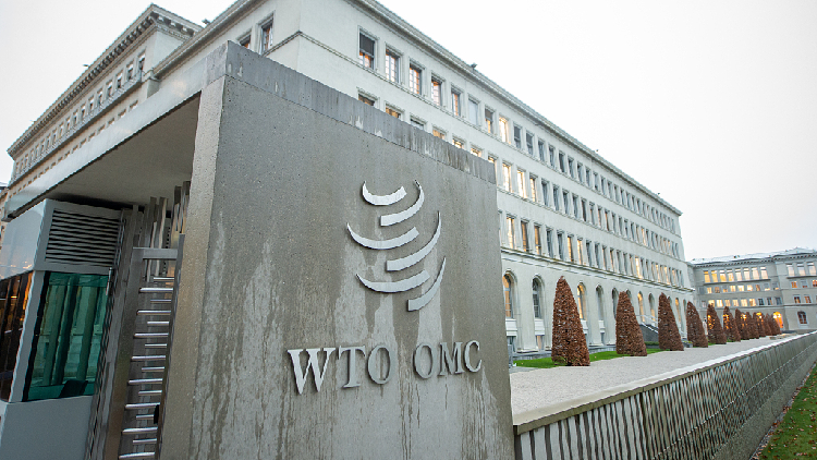 WTO authorizes China to slap duties on U.S. imports worth $645m - CGTN