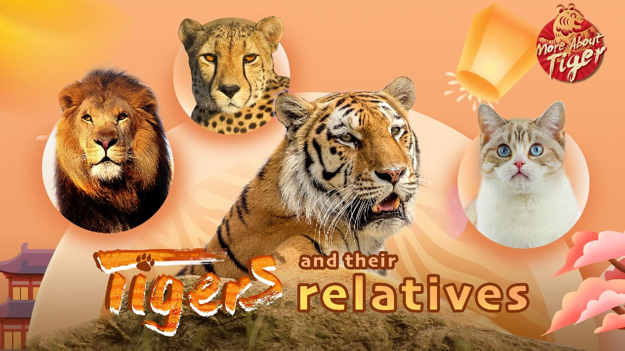 Tiger Family Tree