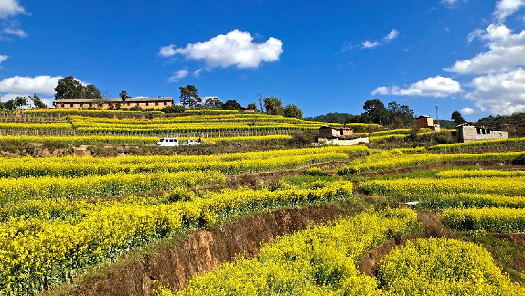 Spring Li Chun Lichun: How regions around China welcome spring - CGTN
