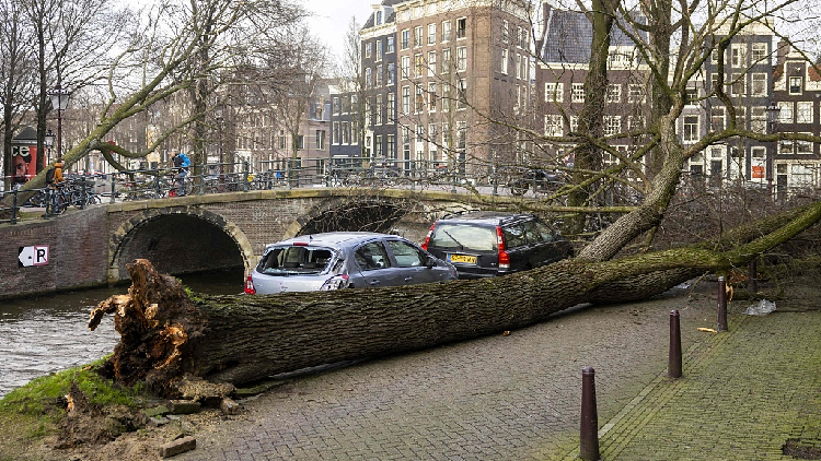 At least 9 dead as Storm Eunice batters Europe - CGTN