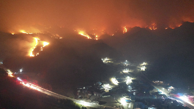 ROK's Moon orders protection of nuclear power plant amid wildfire - CGTN