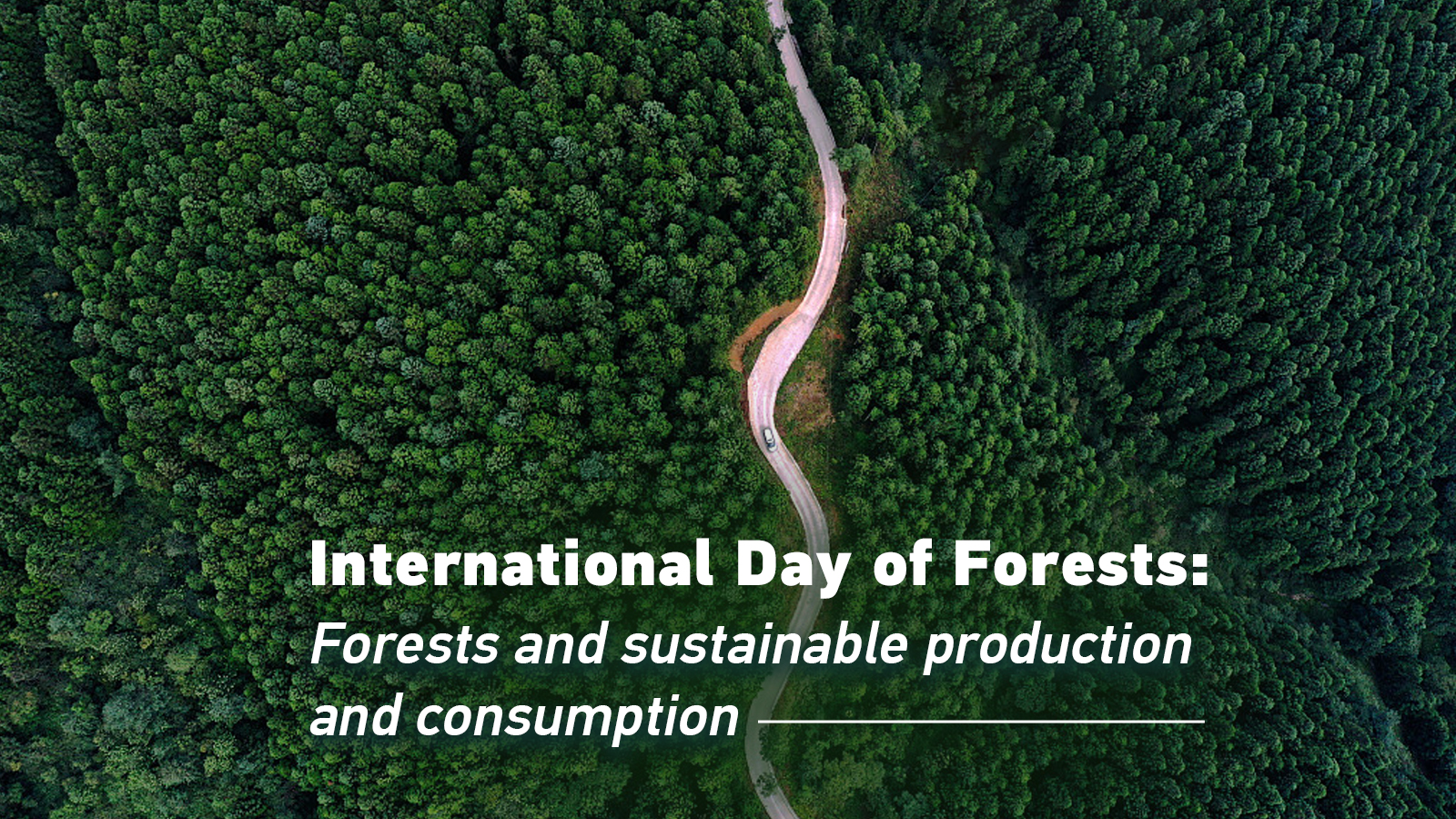 International Day of Forests 2023 - UNESCO World Heritage Centre