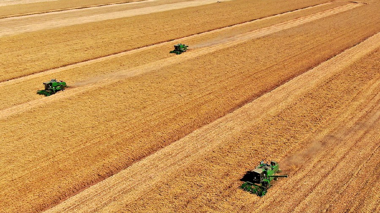 Xi to publish article on agriculture, rural areas, rural residents - CGTN