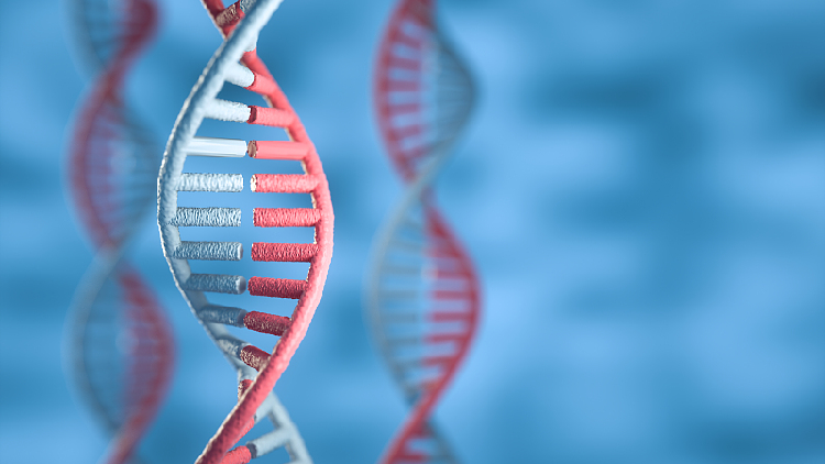 Onderzoekers publiceren de eerste volledige sequentie van het menselijk genoom