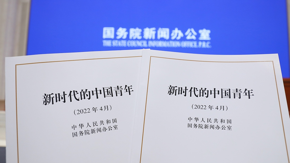 China's first youth white paper highlights innovation, entrepreneurship